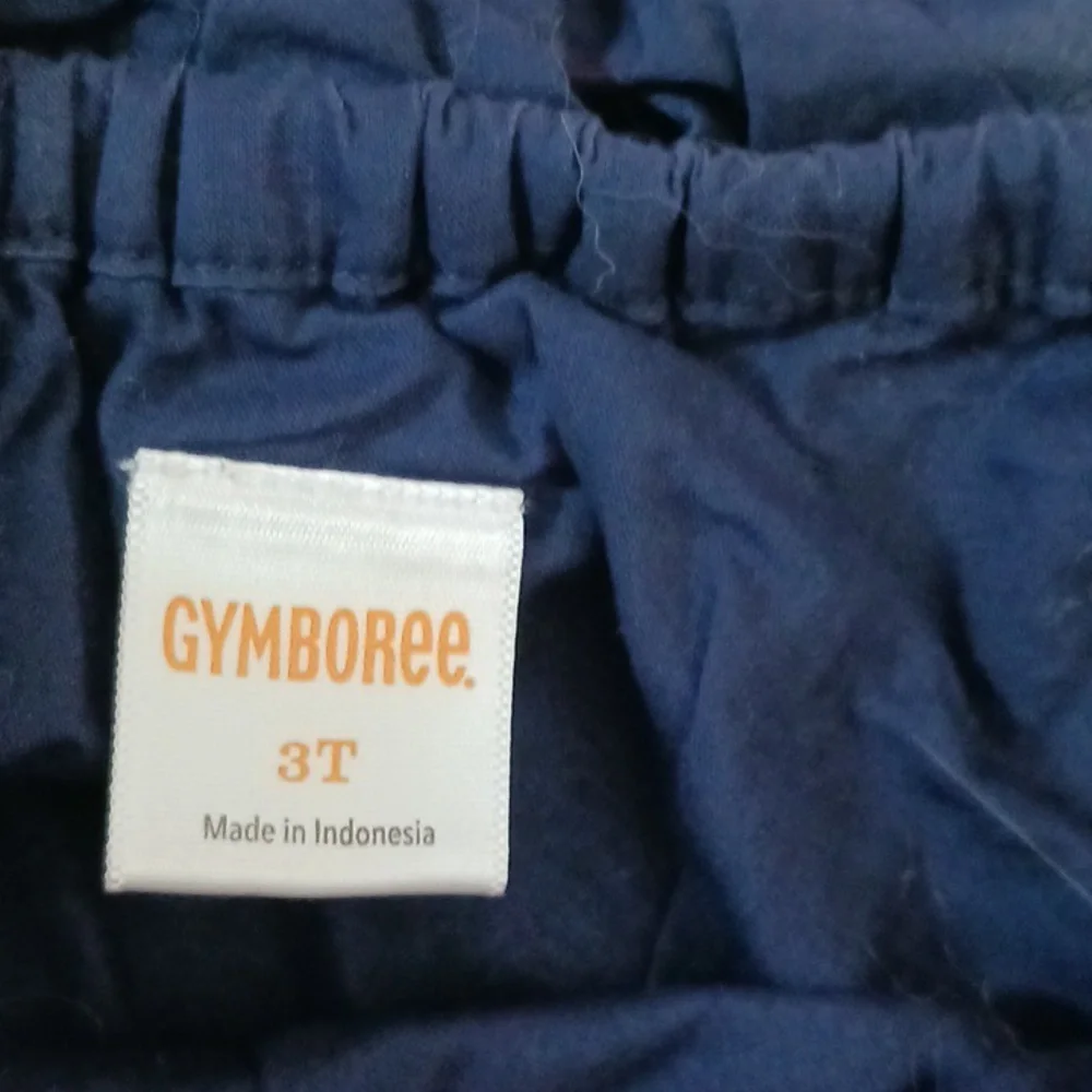 Gymboree peacock dress